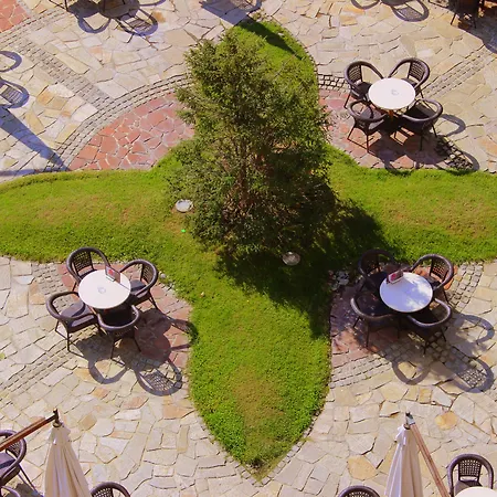 хелена сендс